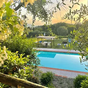 Alloro Bed & Breakfast Capannori